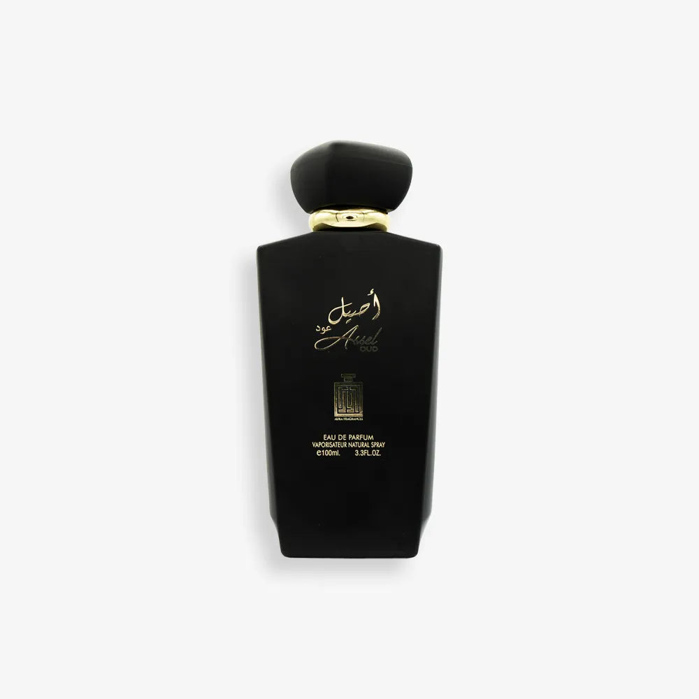 ASSEL OUD EDP 100ML
