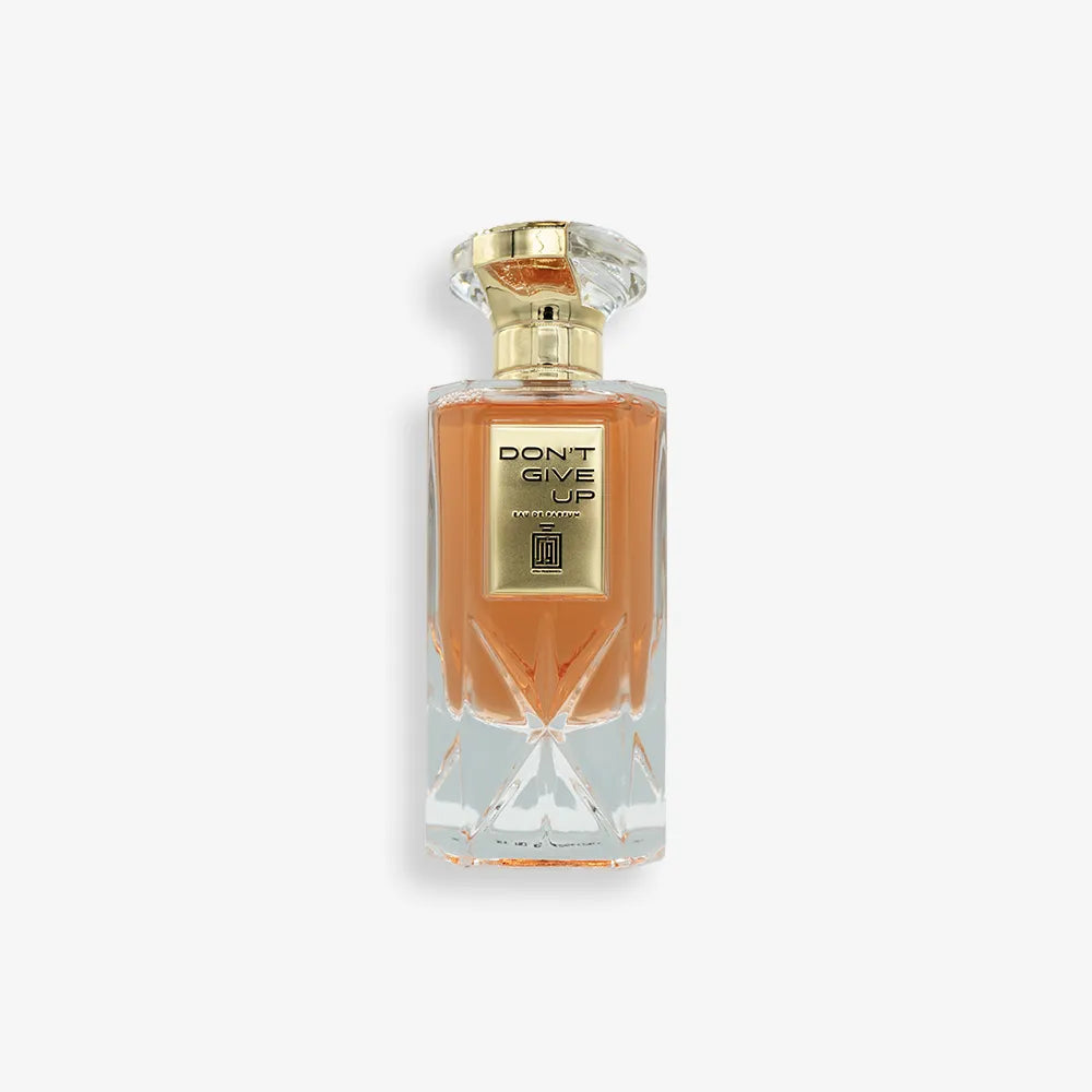 DONT GIVE UP EDP 100ML